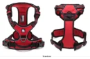 Trailhead Dog Harness - Image 7