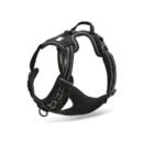 Trailhead Dog Harness - Image 2