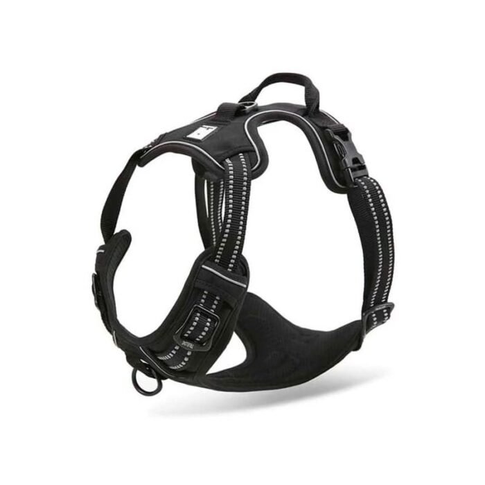 Trailhead Dog Harness - Image 2