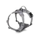Trailhead Dog Harness - Image 5