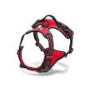 Trailhead Dog Harness
