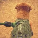 Overland Dog Leash - Image 2