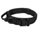 Scout Dog Collar
