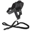 Ranger Dog Harness & Leash - Image 2