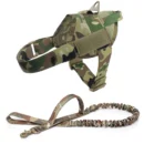 Ranger Dog Harness & Leash