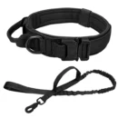 Scout Dog Collar & Leash - Image 2