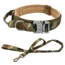 Scout Dog Collar & Leash - Image 4