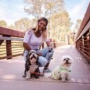 Automatic Retractable Reflective Double-Ended Traction Rope Two Dog Chain - Image 2
