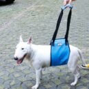Portable Dog Crane Back Back Hip Support Harness to Help Lift Backpack Dogs