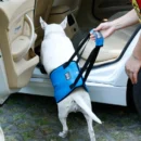 Portable Dog Crane Back Back Hip Support Harness to Help Lift Backpack Dogs - Image 4
