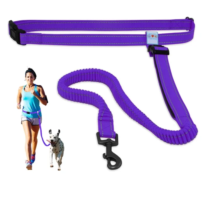 Dog Leash Handsfree Reflective Padded Anti - shock Outdoor Training Running Dog Leash - Image 8
