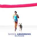 Dog Leash Handsfree Reflective Padded Anti - shock Outdoor Training Running Dog Leash - Image 11