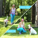 Dog Leash Handsfree Reflective Padded Anti - shock Outdoor Training Running Dog Leash